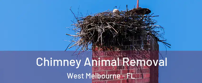  Chimney Animal Removal West Melbourne - FL