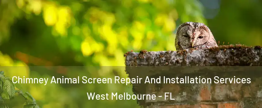  Chimney Animal Screen Repair And Installation Services West Melbourne - FL