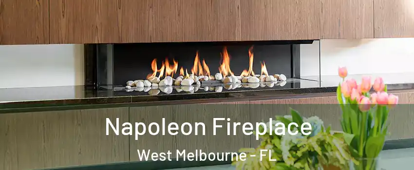  Napoleon Fireplace West Melbourne - FL